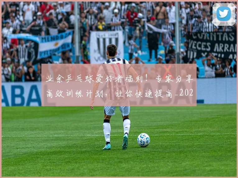业余乒乓球爱好者福利！专家分享高效训练计划，让你快速提高_20260531151456
