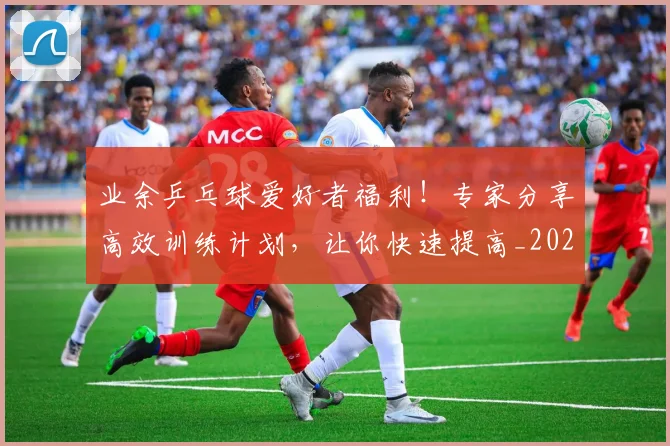 业余乒乓球爱好者福利！专家分享高效训练计划，让你快速提高_20260531151456