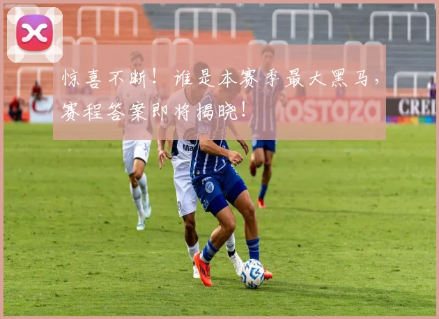 惊喜不断！谁是本赛季最大黑马，赛程答案即将揭晓！